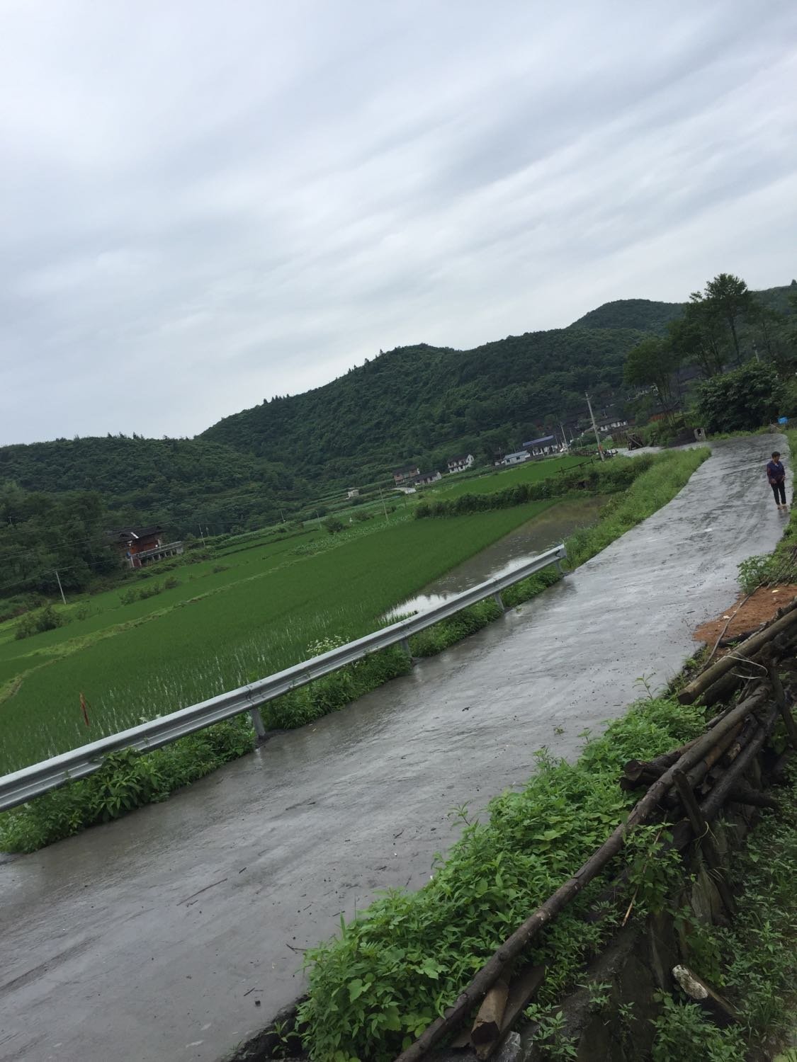 秋林坪村委會天氣預報更新通知