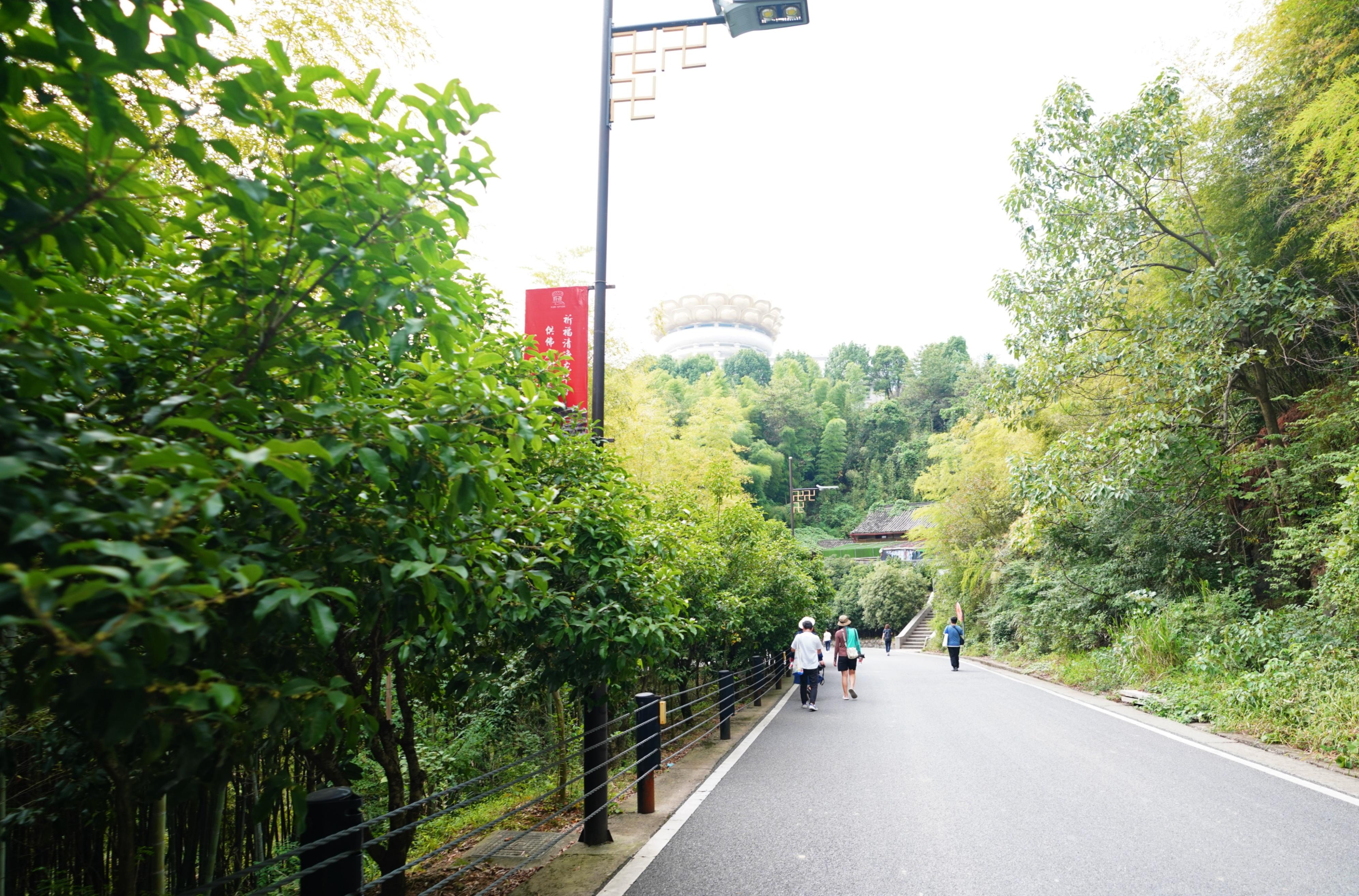 桂花林村天氣預報更新通知