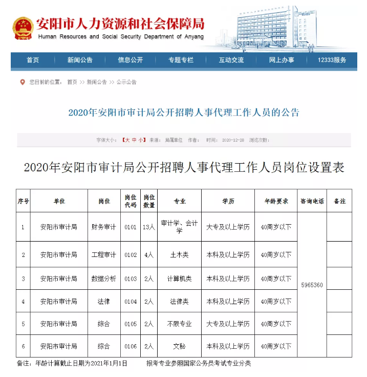 登封市審計局最新招聘公告詳解