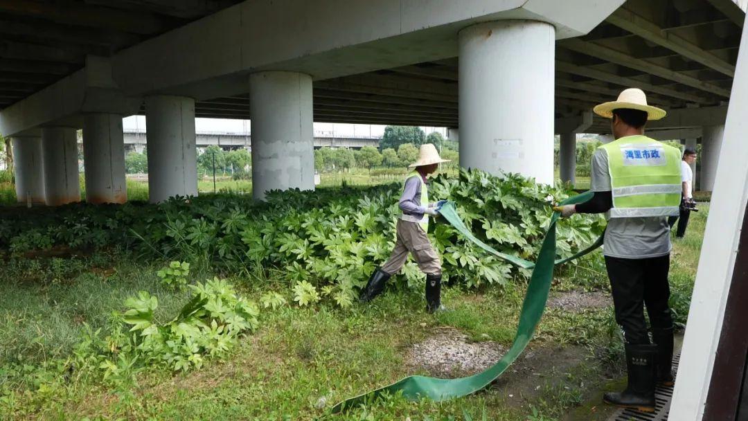 天寧區應急管理局最新招聘信息詳解