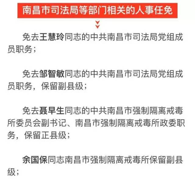 伍家崗區科技局人事任命動態更新