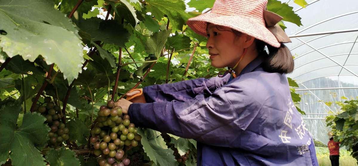 灣里區小學領導團隊最新調整及其影響力概覽