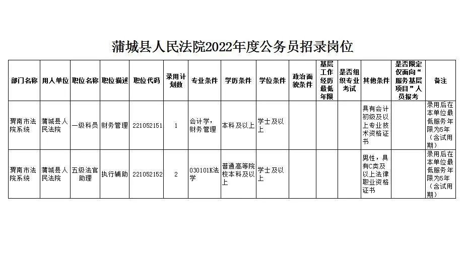 蒲城縣數據和政務服務局最新招聘公告解讀