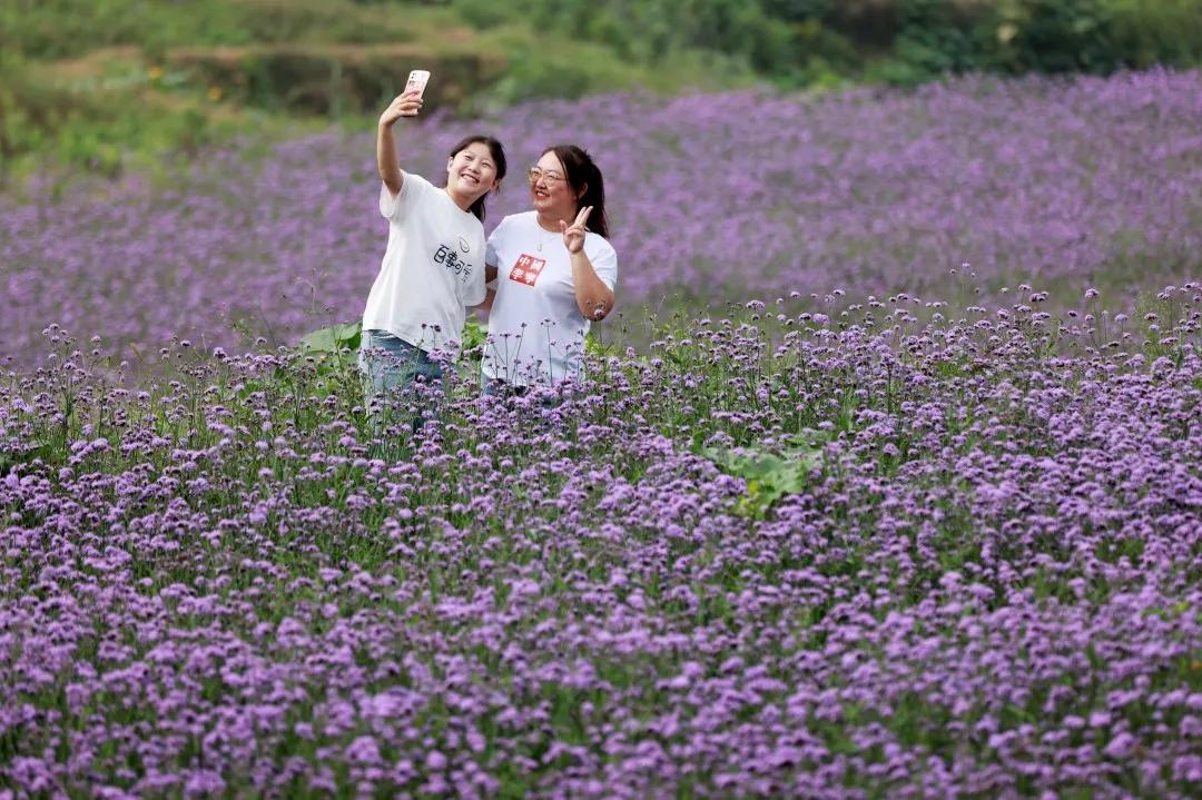 內丘縣小學領導最新概覽