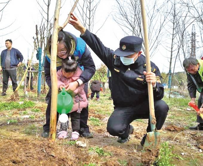 三山區文化局最新項目動態概覽