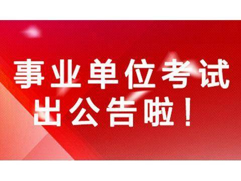 蚌山區托養福利事業單位招聘公告概覽與解析