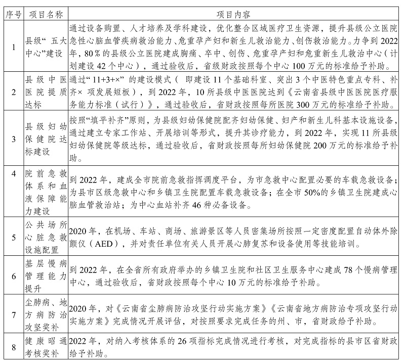 江城哈尼族彝族自治縣醫療保障局最新發展規劃概覽