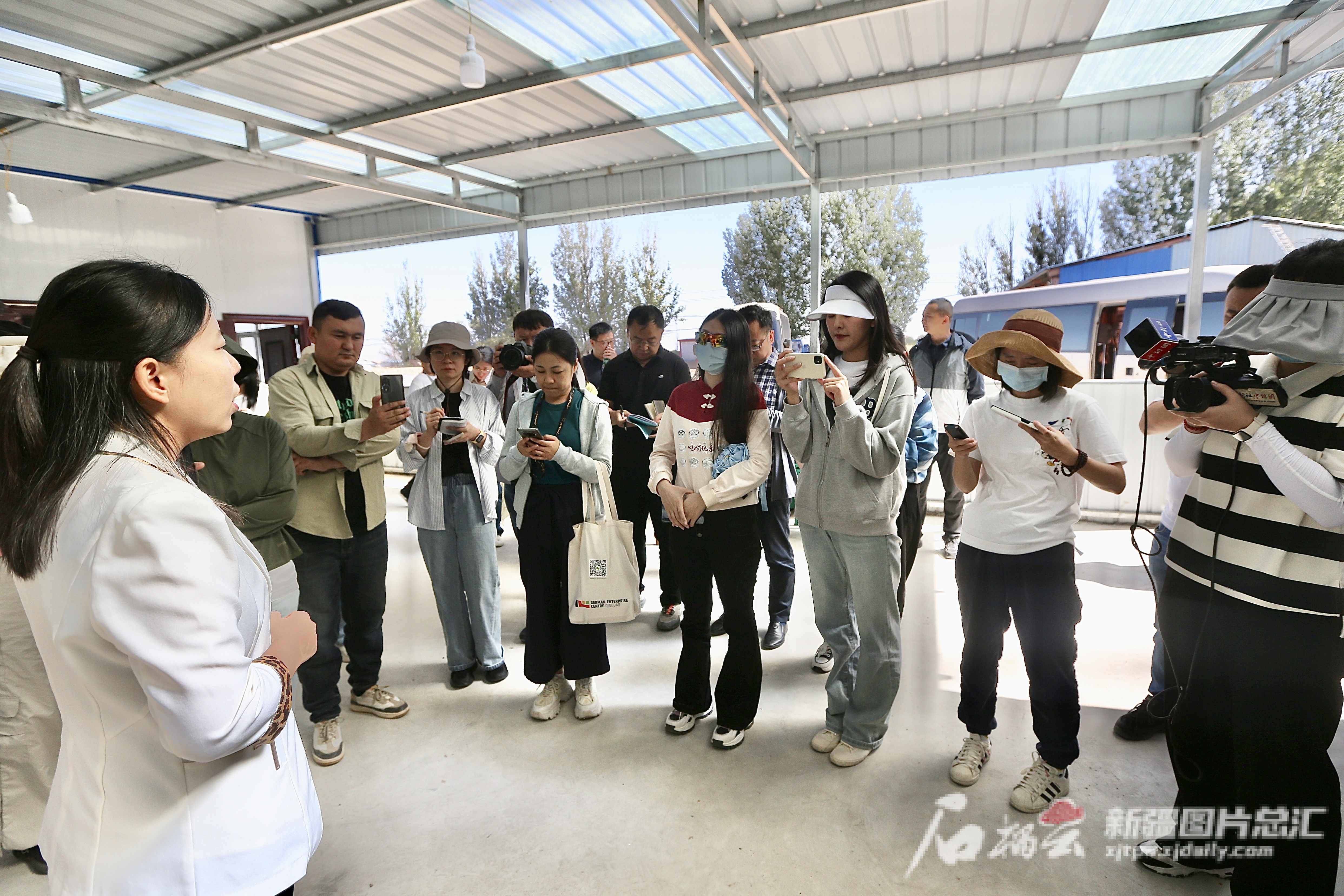 巴里坤哈薩克自治縣托養福利事業單位最新動態概覽