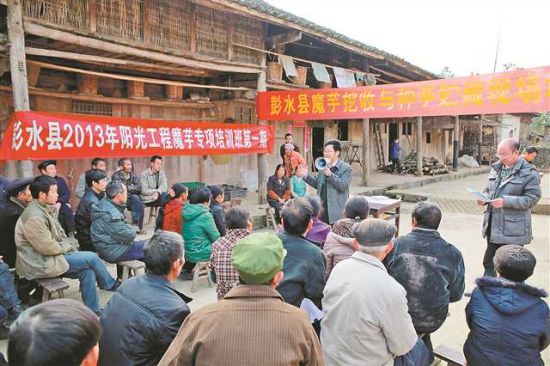 彭水苗族土家族自治縣圖書館招聘啟事概覽