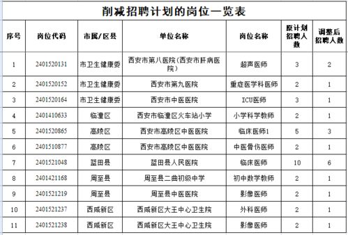 江油市級托養福利事業單位發展規劃展望