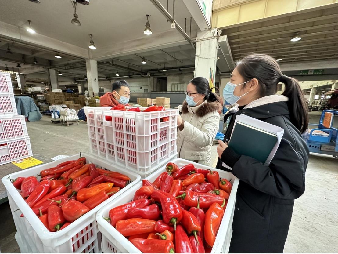 沙市區審計局領導團隊最新陣容，引領與擔當