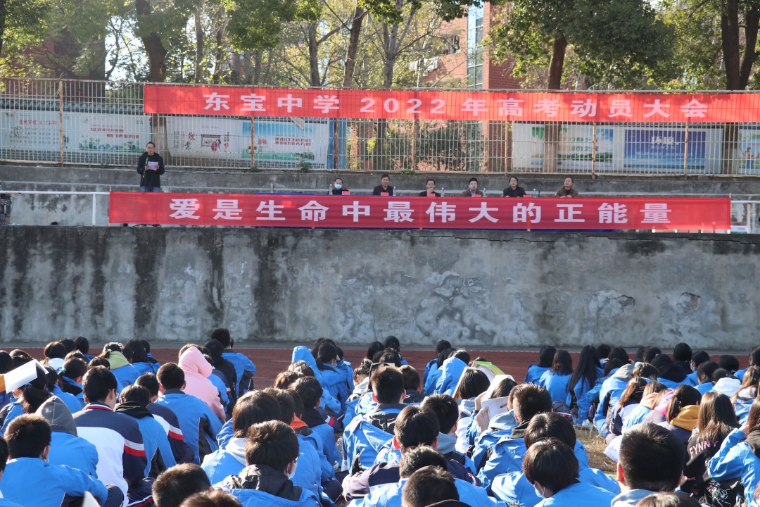 東寶區初中最新動態報道