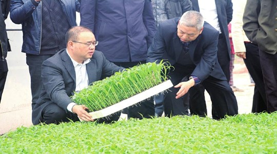 鹽都區農業農村局領導團隊全新亮相，未來展望與期待