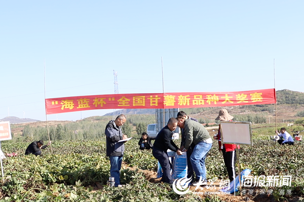 龍灣區農業農村局新項目推動農業現代化，鄉村振興再添新動力