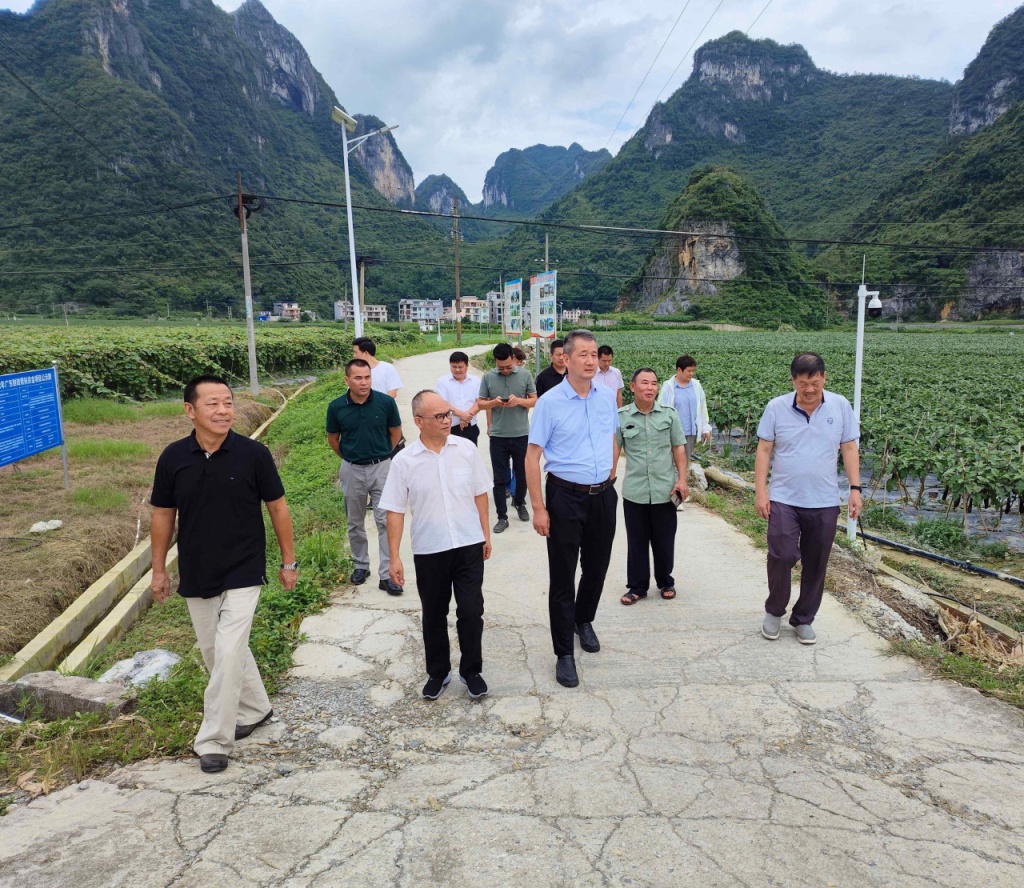 鳳山縣農業農村局新項目推動農業現代化，鄉村振興再添動力