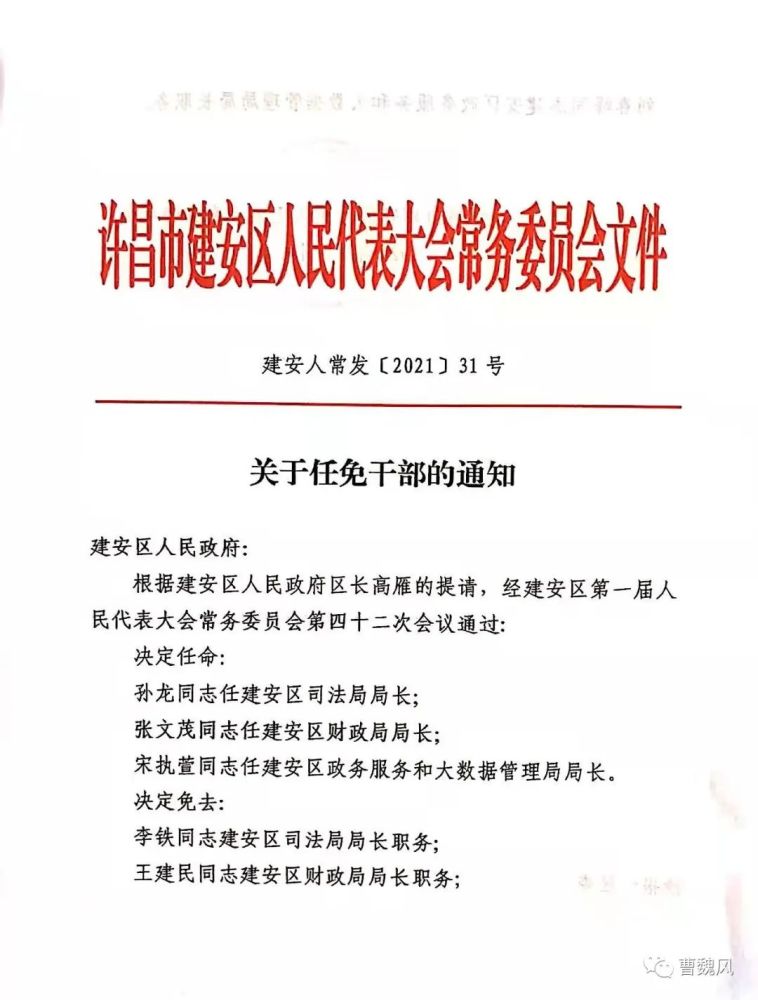 延平區財政局人事調整重塑財政體系，推動區域經濟發展新篇章