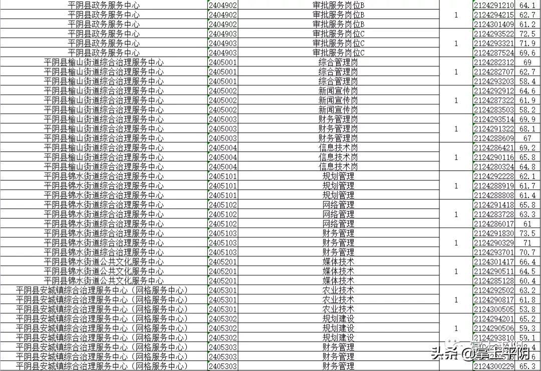 平陰最新招聘動態與職業機會展望簡報