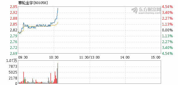 賽輪金宇最新十大股東概況及其影響深度剖析