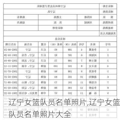 遼寧女籃最新名單深度解析