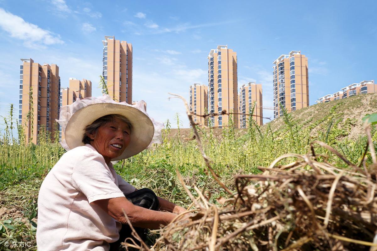 最新土地承包法全文深度解讀