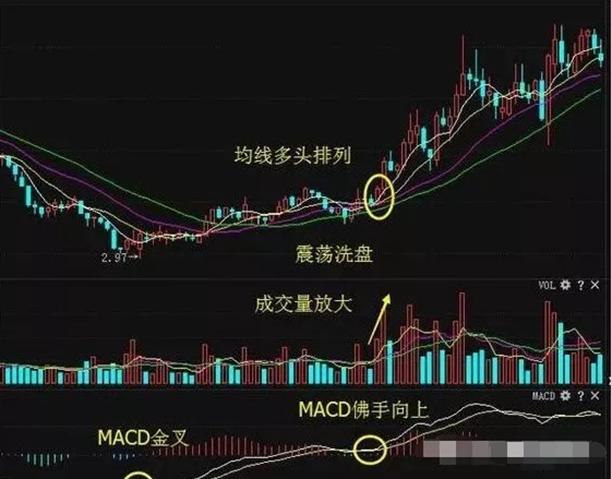 華電能源股票最新動態，市場走勢及前景展望