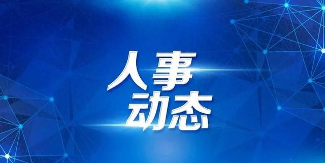 南平新聞，城市發展與民生改善同步前行最新消息