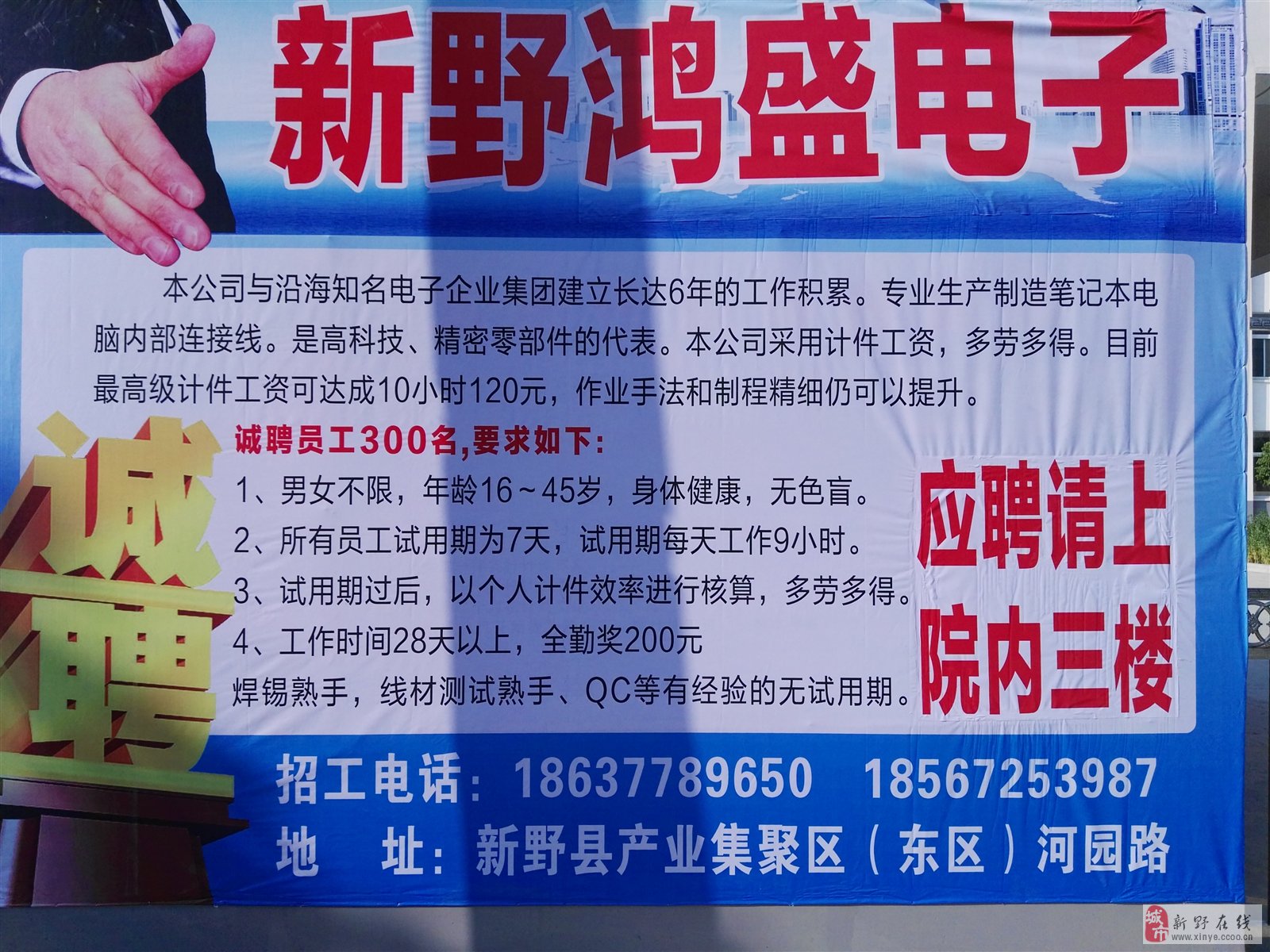 新野在線最新招聘信息全面匯總