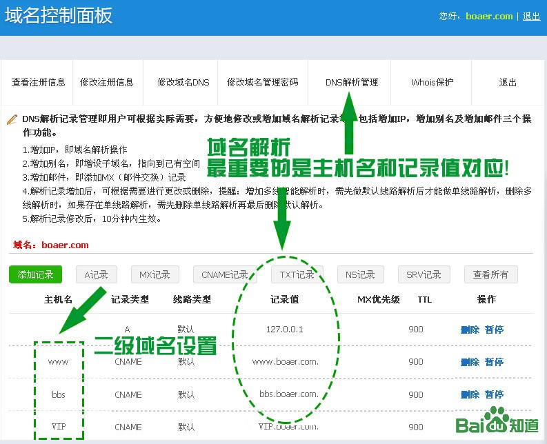 數字時代身份標識與商業價值的探索，最新域名資料揭秘