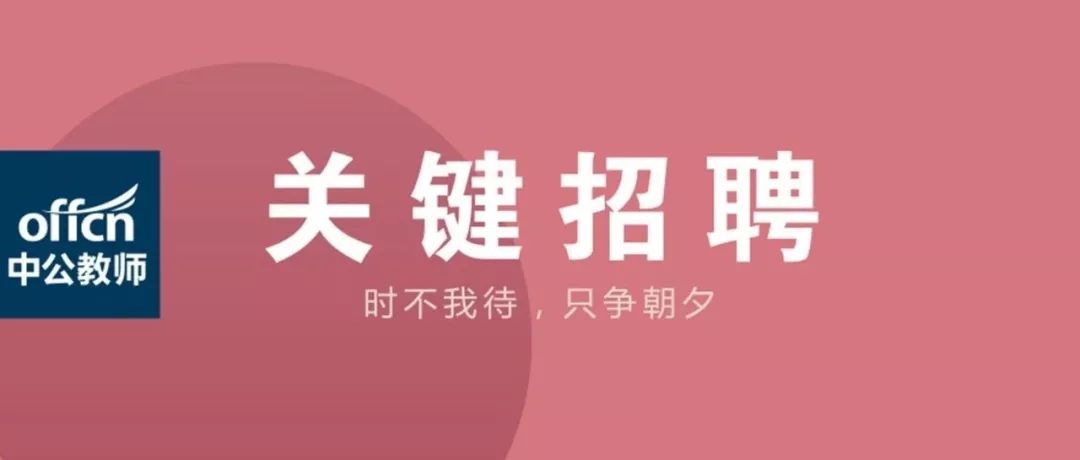 佛山招聘網最新招聘動態深度剖析