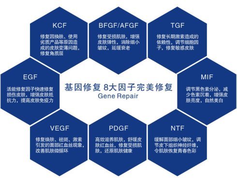 長效8因子最新信息與研究應用進展概覽