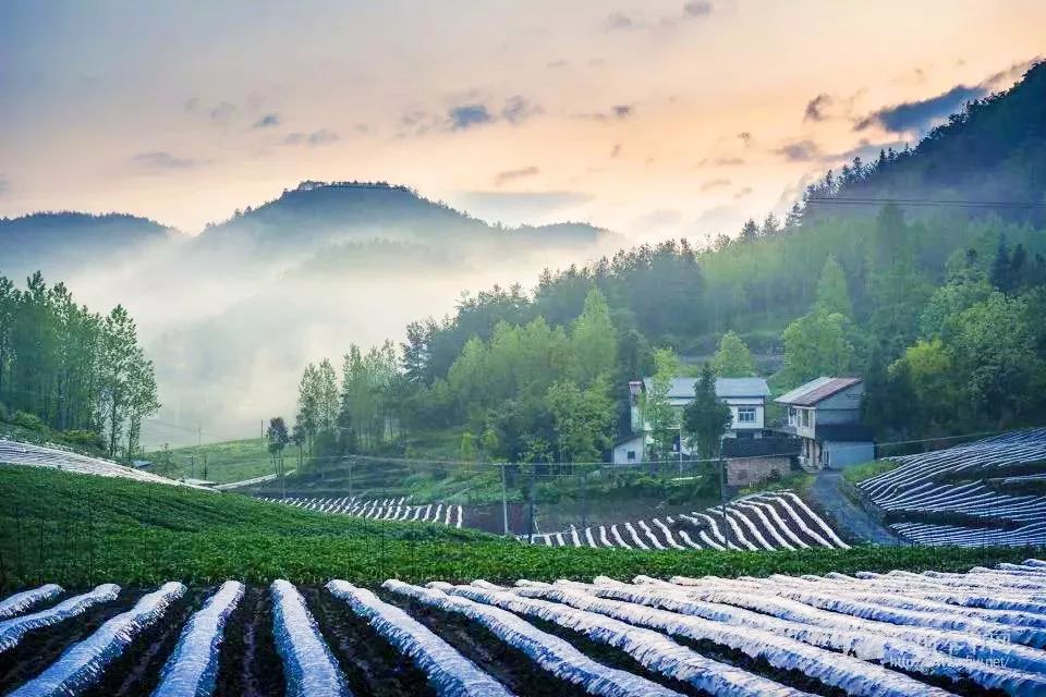 奉節竹園，生態文化融合，綠色旅游新地標打造最新動態