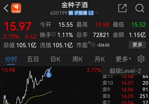 金種子酒股票最新消息深度解讀與分析