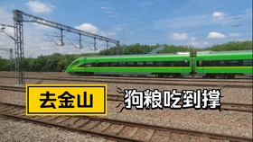 金山衛小火車最新時刻表全面解析