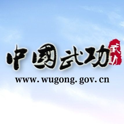 武功最新動態，武林新趨勢與發展前沿聚焦