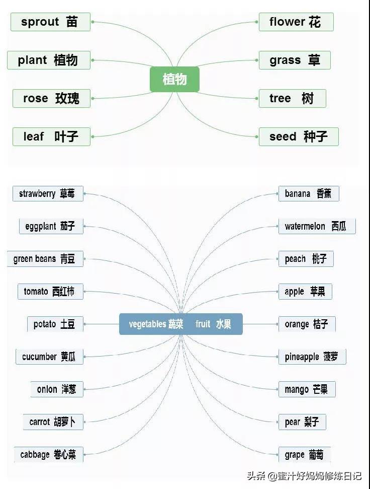 初中數學人教版下載，探索與學習的關鍵資源寶典