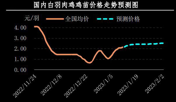 山東肉雞今日最新價格分析