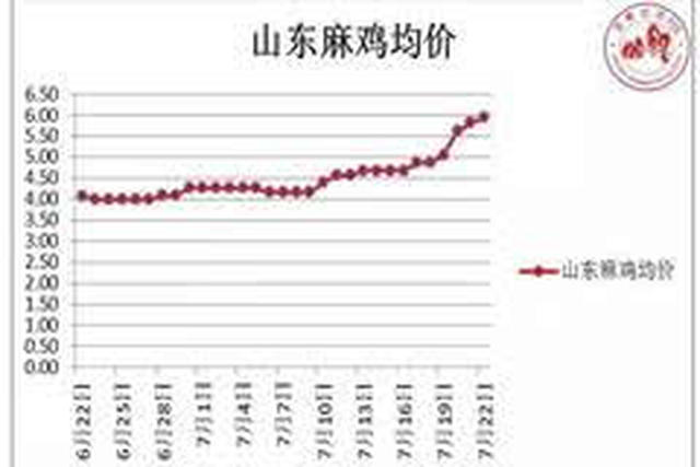 山東肉雞今日最新價格分析