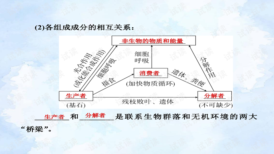 人教版教材改革，創新提升教育質量之路