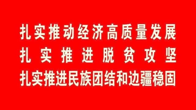 征信最新動態解析，全面解讀與深度探討