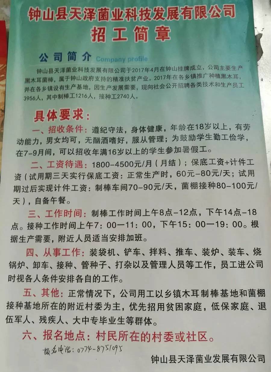 謝崗黎村工廠招聘啟事，最新職位空缺