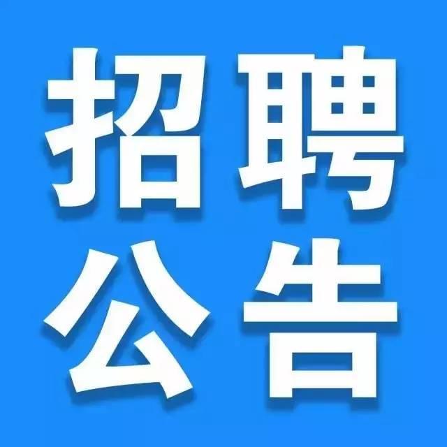 長水機場招聘網最新招聘動態深度解析與解讀