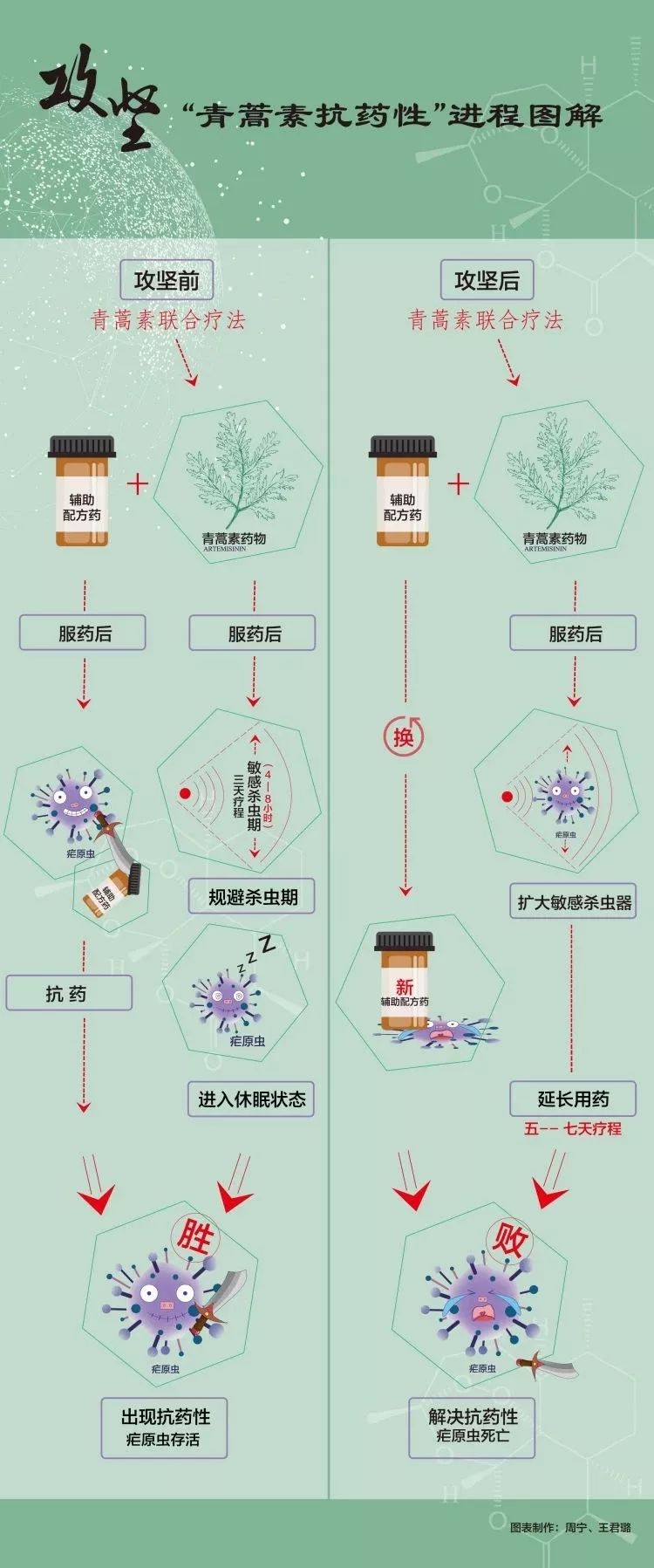 青蒿素治療紅斑狼瘡最新進展報道