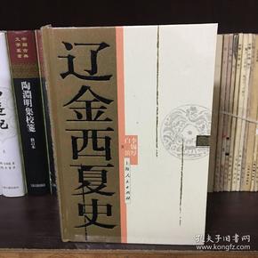 探尋古代西夏王國的歷史與文化，西夏史下載