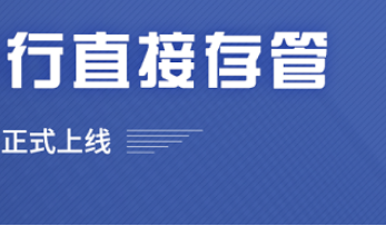 融金所安全性最新評估與消息深度分析