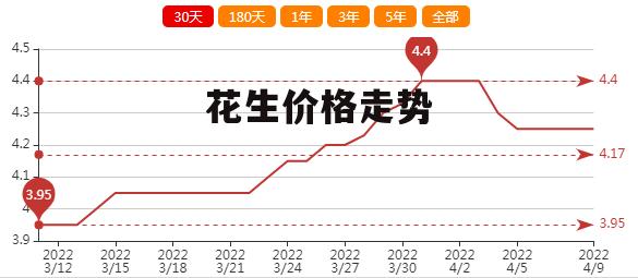 河北花生價格最新動態更新