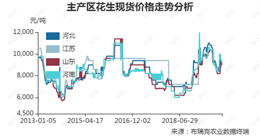 河北花生價格最新動態更新