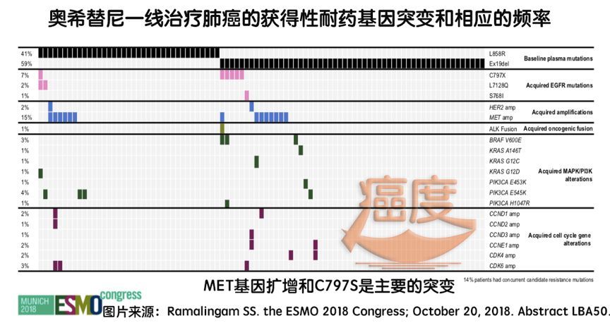 奧希替尼最新價格動態及其市場影響分析