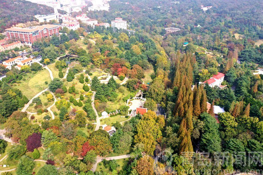 濟南中山公園擴建最新進展揭秘