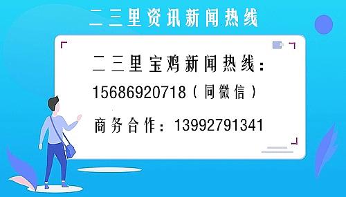 寶雞新聞網最新消息綜述概覽