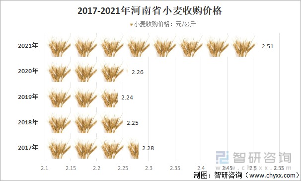 山東今日小麥最新價格動態分析